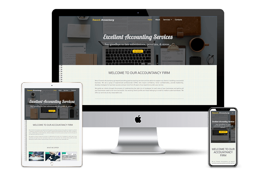 Portfolio Web Application Development project Accounting